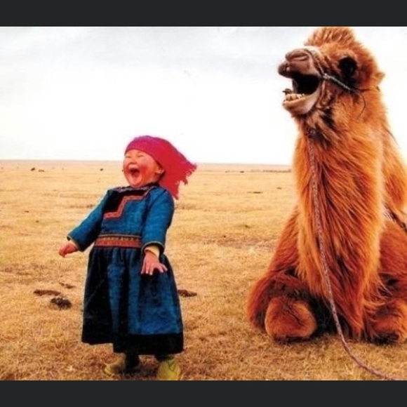 Meet your Posher, Matthew - Picture 1 of 1